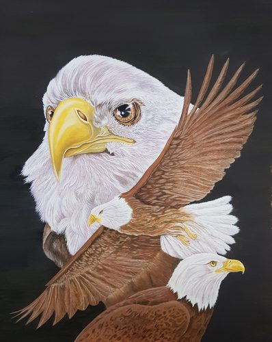 Gouache, Eagles.
